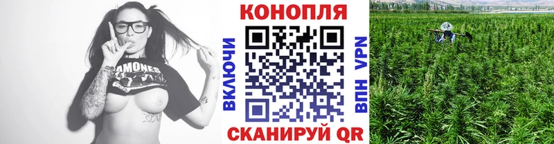 МЕГА маркетплейс  что такое   Барыш  Каннабис Amnesia 